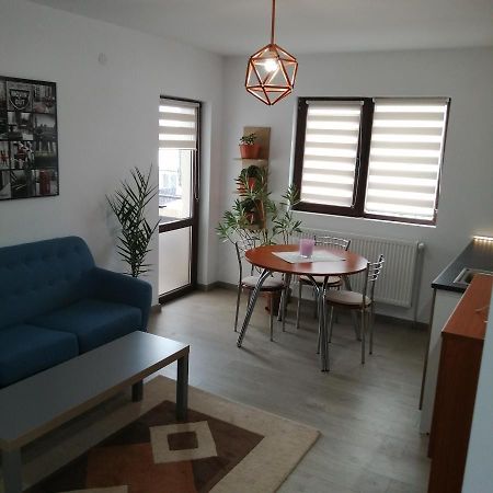בוקרשט Villa 38 Silviu Apartment מראה חיצוני תמונה