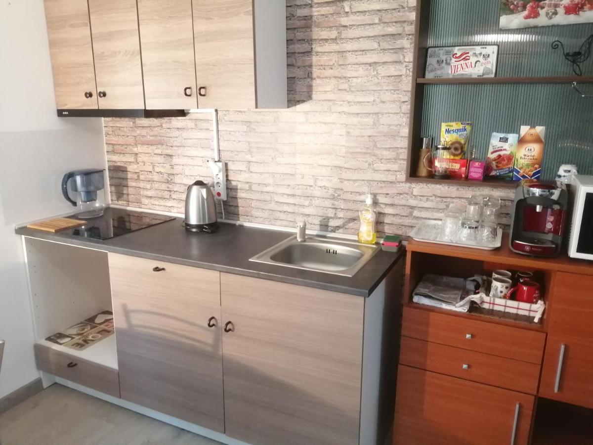 בוקרשט Villa 38 Silviu Apartment מראה חיצוני תמונה